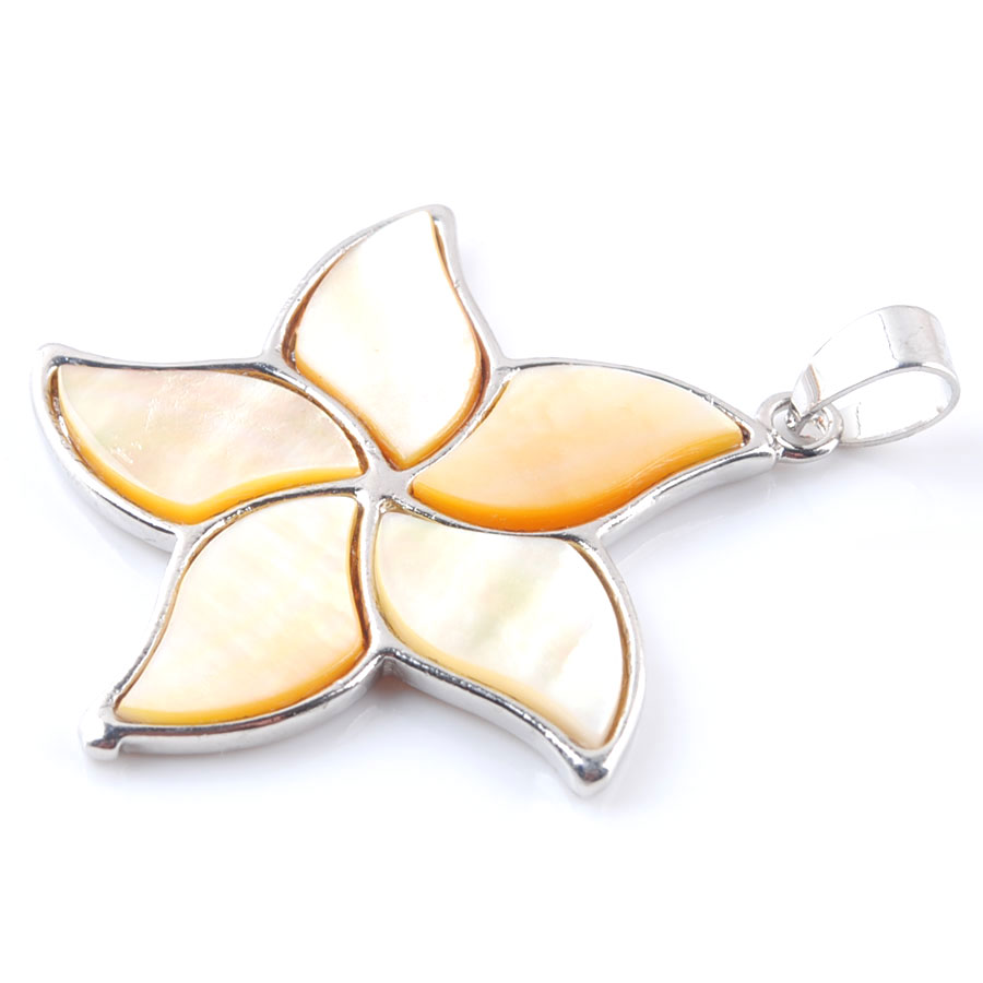 5pcs Natural New Zealand Abalo - огляд і ціна Jewelry Making New Zealand